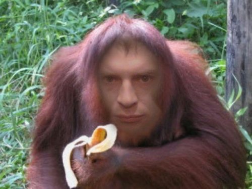 Чудаки и глЯмурные красотки из соцсетей (38 фото)