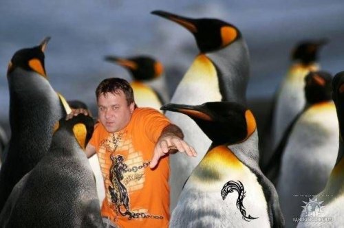 Чудаки и глЯмурные красотки из соцсетей (38 фото)