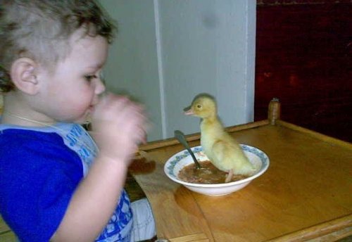 Фото приколы к началу рабочей недели (45 шт)