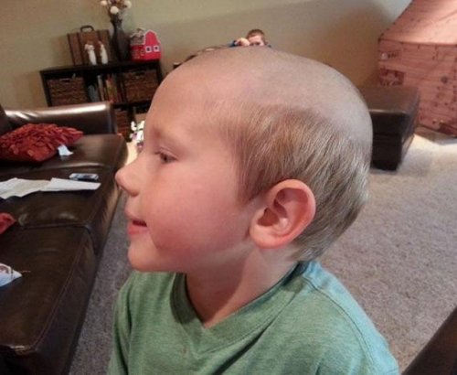 Новую стрижку не желаете? (26 фото)