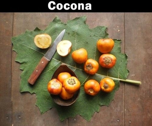 Неизвестные и загадочные заморские фрукты (20 фото)