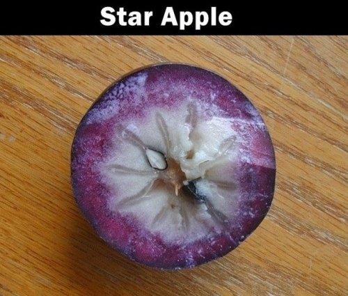 Неизвестные и загадочные заморские фрукты (20 фото)