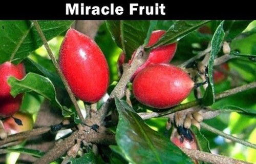 Неизвестные и загадочные заморские фрукты (20 фото)