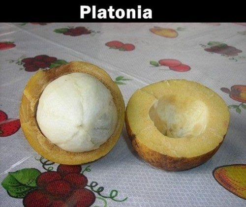 Неизвестные и загадочные заморские фрукты (20 фото)