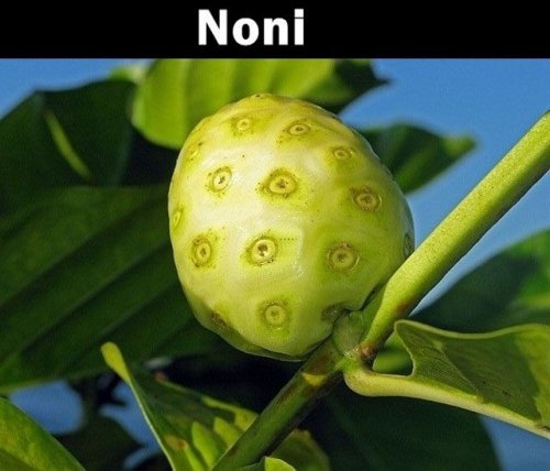 Неизвестные и загадочные заморские фрукты (20 фото)