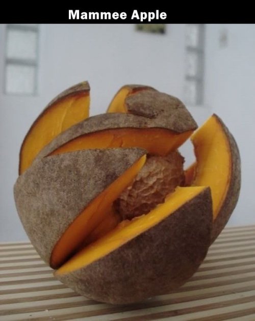 Неизвестные и загадочные заморские фрукты (20 фото)