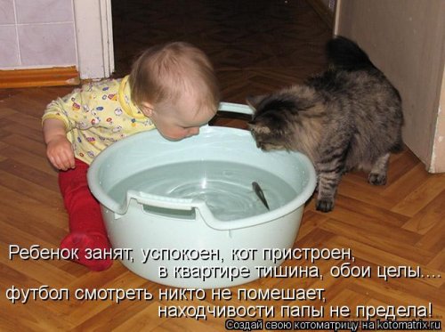 Новые чудесные котоматрицы (23 фото)