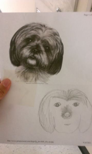 Почти получилось (24 фото) Почти получилось (24 фото)