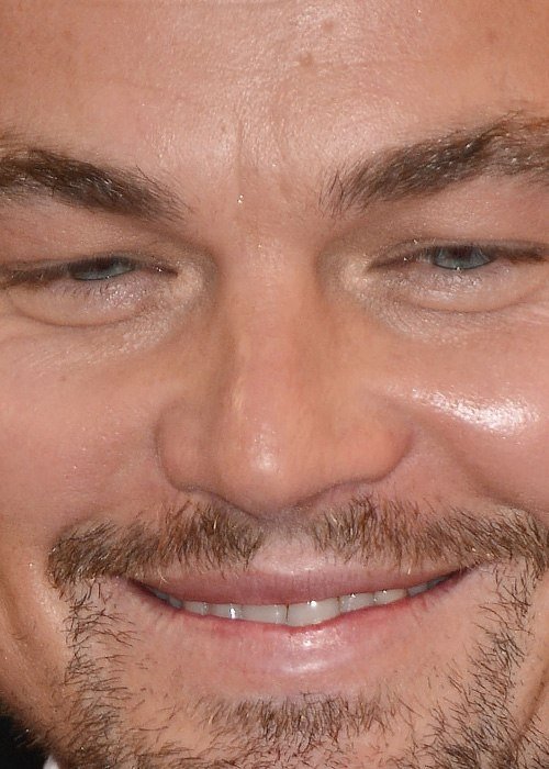 Лица знаменитостей крупным планом (30 фото) Лица знаменитостей крупным планом (30 фото)