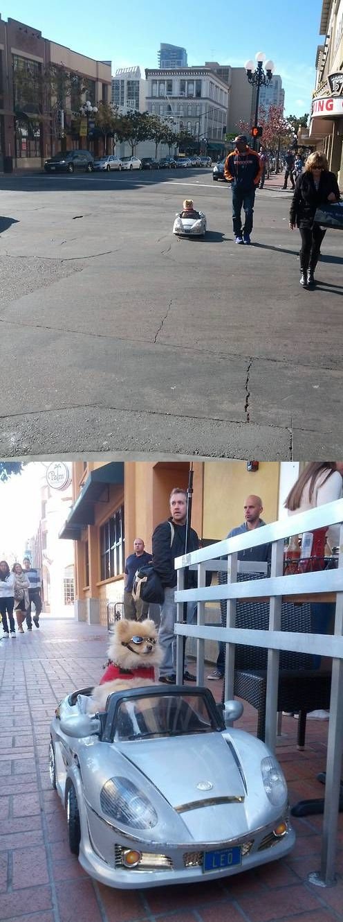 Фотоприколы из мира автомобилей (33 фото)