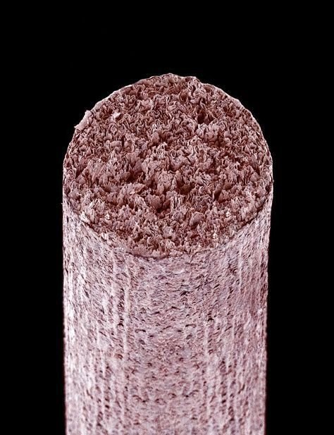 Макрофотографии обычных вещей (29 шт) Макрофотографии обычных вещей (29 шт)