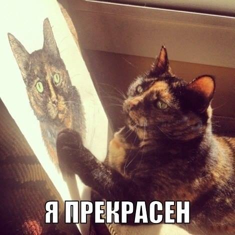 Фотоприколы в пятницу (42 шт) Фотоприколы в пятницу (42 шт)