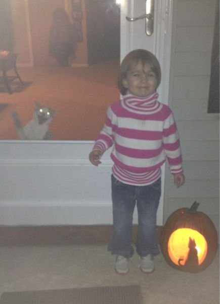 Фотобомбы с животными (19 шт) Фотобомбы с животными (19 шт)