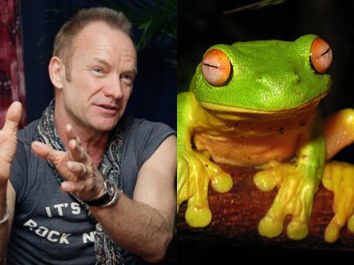 Топ-10: Организмы, названные в честь знаменитостей по глупым причинам Топ-10: Организмы, названные в честь знаменитостей по глупым причинам