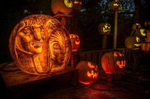 Тыквы-фонари на выставке в Провиденсе (25 фото)