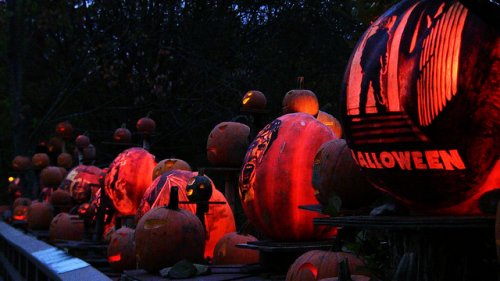 Тыквы-фонари на выставке в Провиденсе (25 фото)