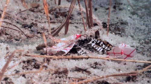 Топ-10 Самых странных моментов за всю историю войны