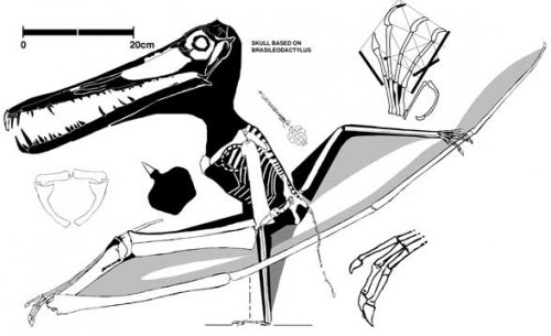 Топ-10: Организмы, названные в честь знаменитостей по глупым причинам