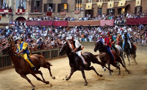 12 Необычно расположенных спортивных сооружений (37 фото)