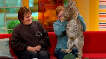 10 Самых крупных домашних питомцев в мире 10 Самых крупных домашних питомцев в мире