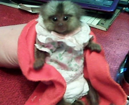 10 Странных вещей, найденных в бюстгальтерах 10 Странных вещей, найденных в бюстгальтерах