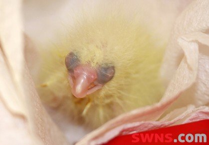 10 Странных вещей, найденных в бюстгальтерах 10 Странных вещей, найденных в бюстгальтерах