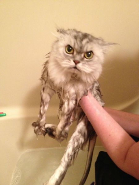 Приколы на фото и картинках (28 шт) Приколы на фото и картинках (28 шт)