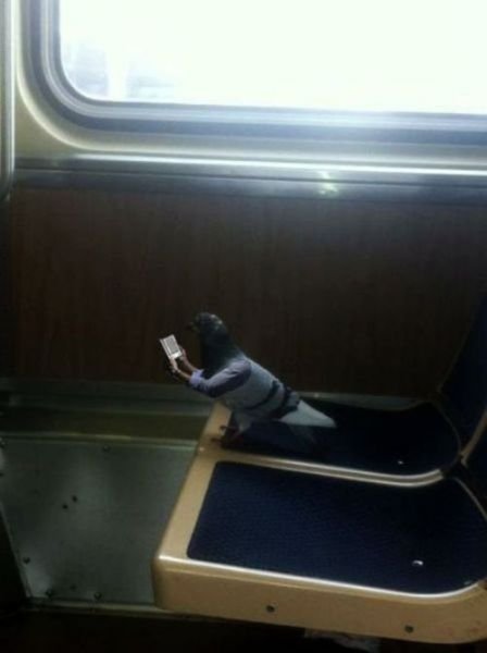 Здесь фотошопа нет ни разу! (24 фото)