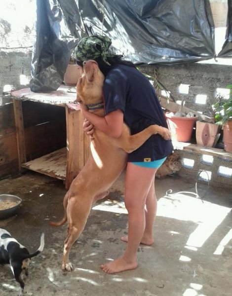 Эмоции и настроение в фотографиях (25 фото) Эмоции и настроение в фотографиях (25 фото)