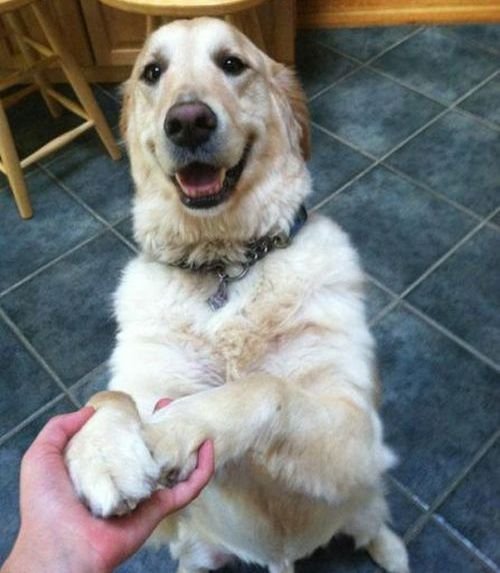 Эмоции и настроение в фотографиях (25 фото) Эмоции и настроение в фотографиях (25 фото)