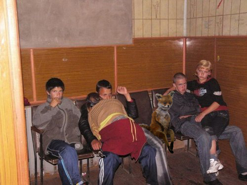 Позитив в картинках и фото (52 шт) Позитив в картинках и фото (52 шт)