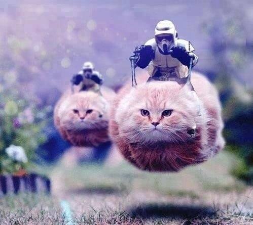 Приколы в интернете (42 шт) Приколы в интернете (42 шт)