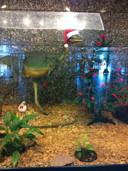 Новогодняя атмосфера в прикольных картинках (22 фото)