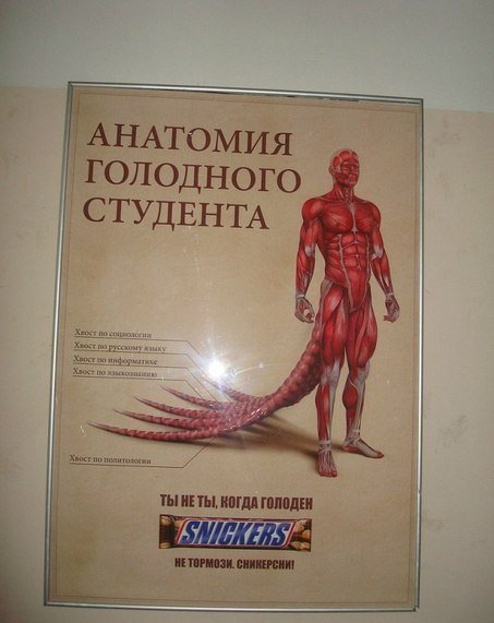 Маразмы в рекламе и народный креатив (21 фото) Маразмы в рекламе и народный креатив (21 фото)