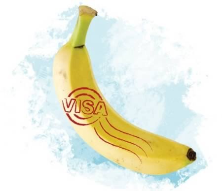 10 Невероятных историй о животных, которых арестовали 10 Невероятных историй о животных, которых арестовали