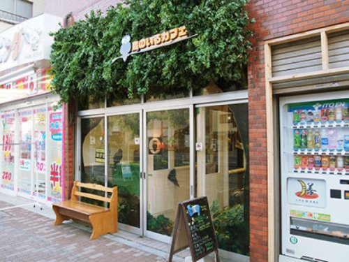 Кафе сов – новое необычное кафе в Японии, набирающее популярность (26 фото)