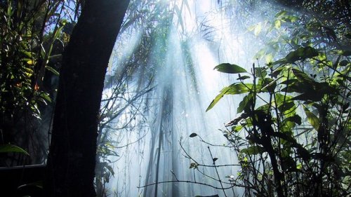 10 Поистине жутких вампиров со всего света