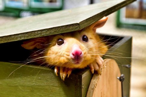 Мордашки-очаровашки (23 фото)