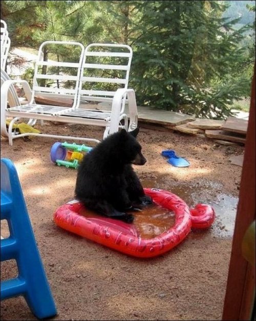 Мордашки-очаровашки (23 фото)