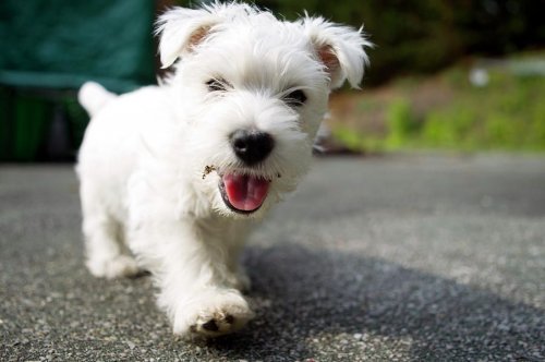 Мордашки-очаровашки (23 фото)