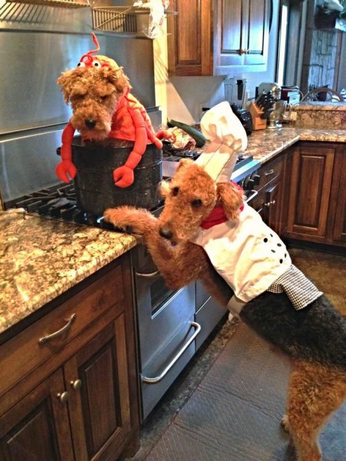 Мордашки-очаровашки (23 фото)