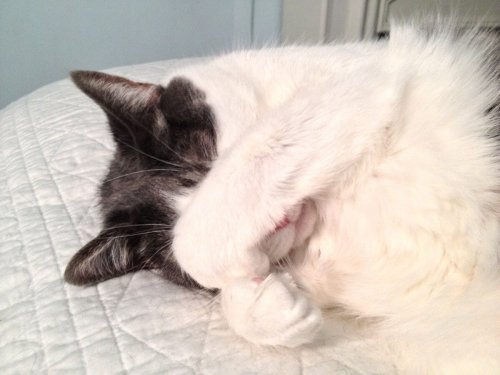 Мордашки-очаровашки (23 фото)