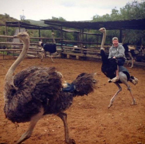 Мечты сбываются (29 фото)