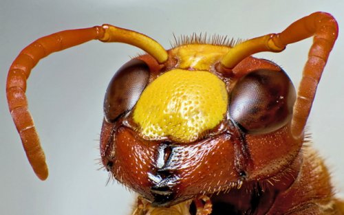 10 Качеств, которыми, согласно научной точке зрения, должны обладать инопланетные существа