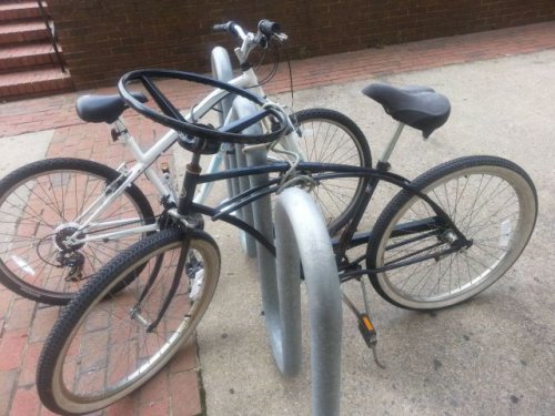 Позитивных картинок и фоток пост (38 шт)