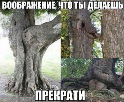 Позитивных картинок и фоток пост (38 шт)