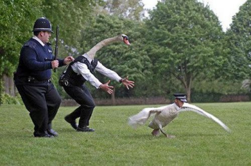 Здесь фотошопа нет ни разу! (24 фото)