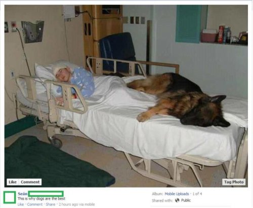 Эмоции и настроение в фотографиях (25 фото)