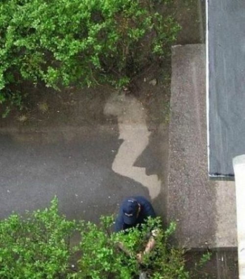 Самые странные и необычные места для сна (30 фото)