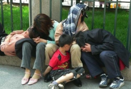 Самые странные и необычные места для сна (30 фото)